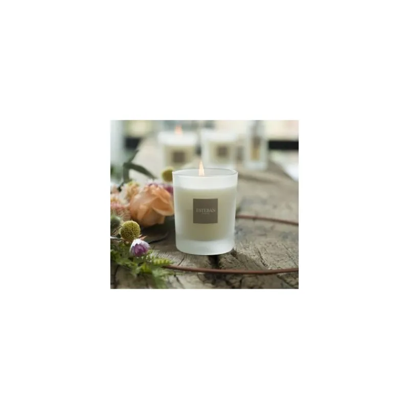 Bougies Décoratives | Bougies Parfumées<ESTEBAN Bougie parfumée 180 gr Fraîcheur de Lin,