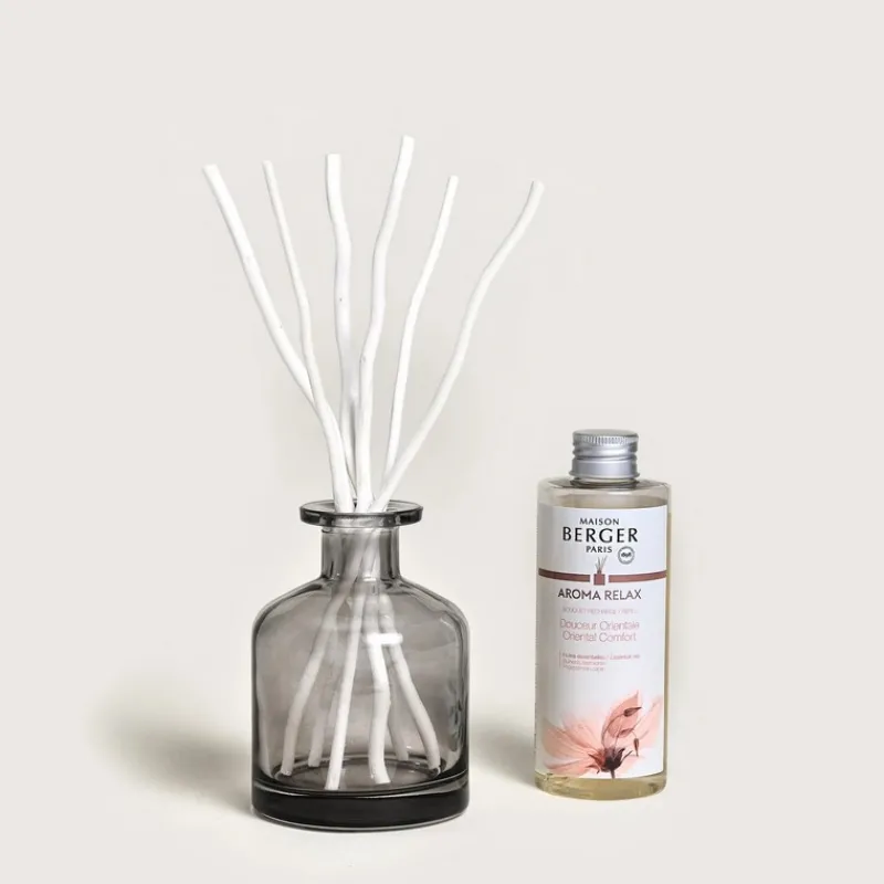Diffuseurs De Parfum D'Intérieur<MAISON BERGER Bouquet parfumé Aroma Relax,