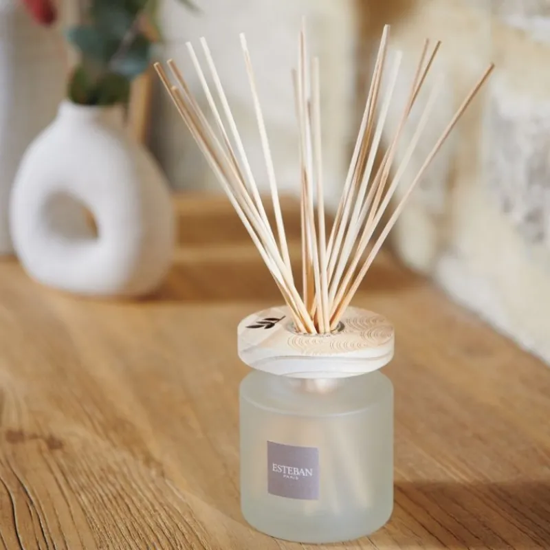 Diffuseurs De Parfum D'Intérieur<ESTEBAN Bouquet parfumé Ellipse Cèdre Sauvage 200ml,