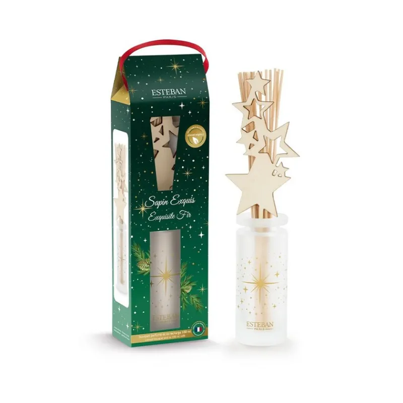 Diffuseurs De Parfum D'Intérieur<ESTEBAN Bouquet parfumé Sapin exquis,