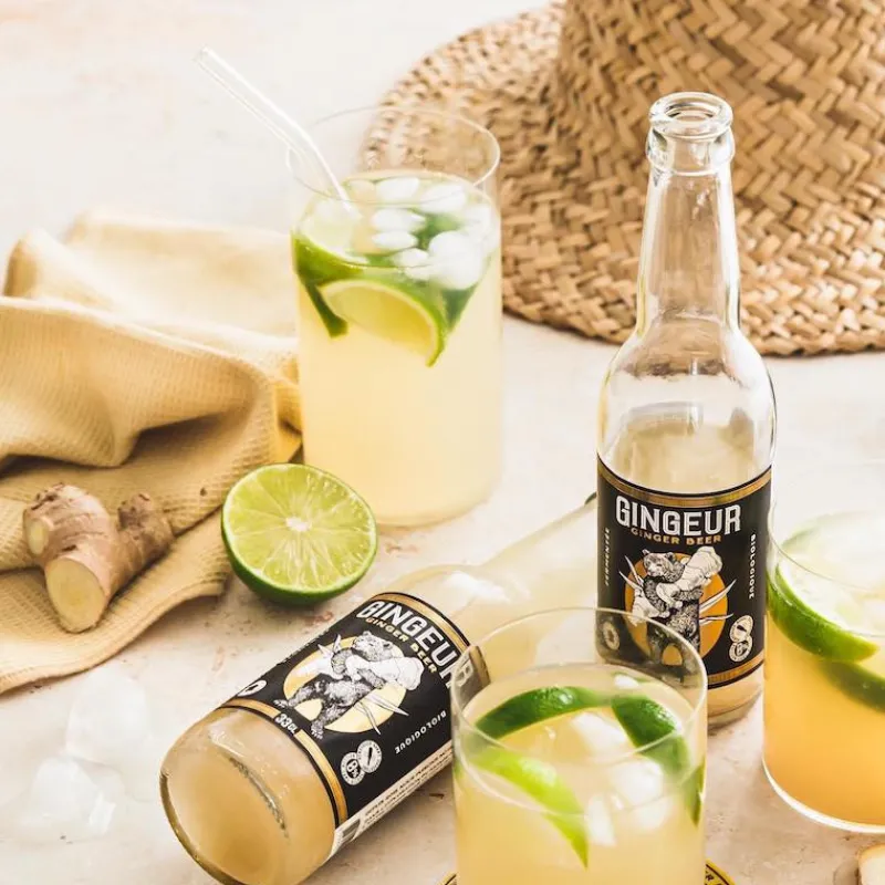 Les Autres Boissons<Gingeur Ginger Beer Original Bio 33cl,