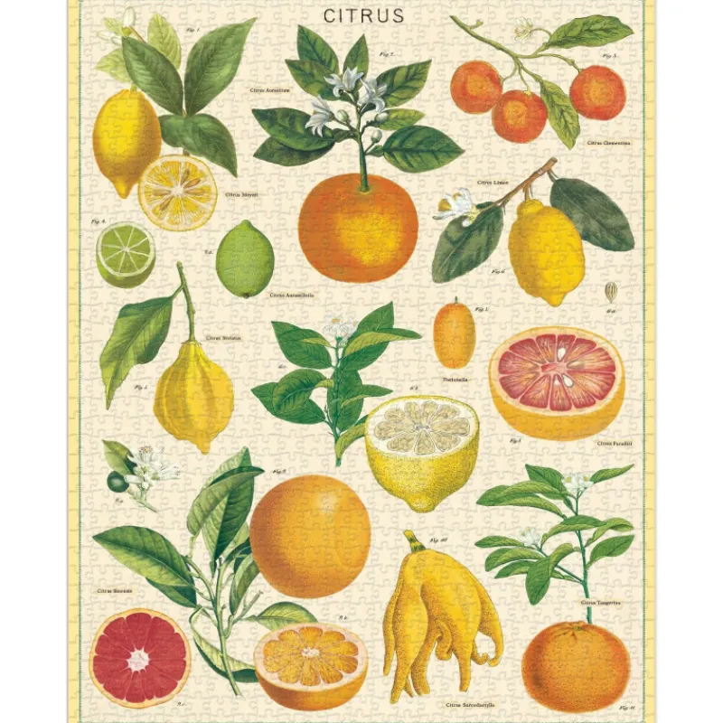 Les Jeux D'Intérieur<Cavallini & Co Puzzle 1000 pièces Citrus,
