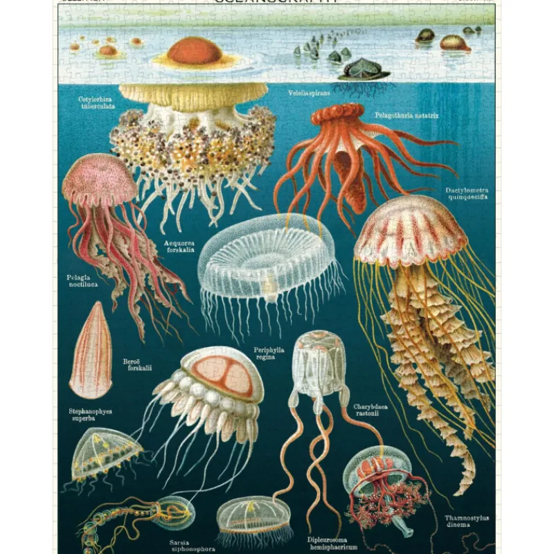 Les Jeux D'Intérieur<Cavallini & Co Puzzle 1000 pièces Méduses,