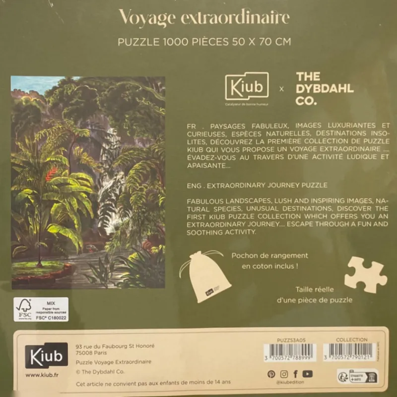 Les Jeux D'Intérieur<Kiub Puzzle de 1000 pièces Cascade,