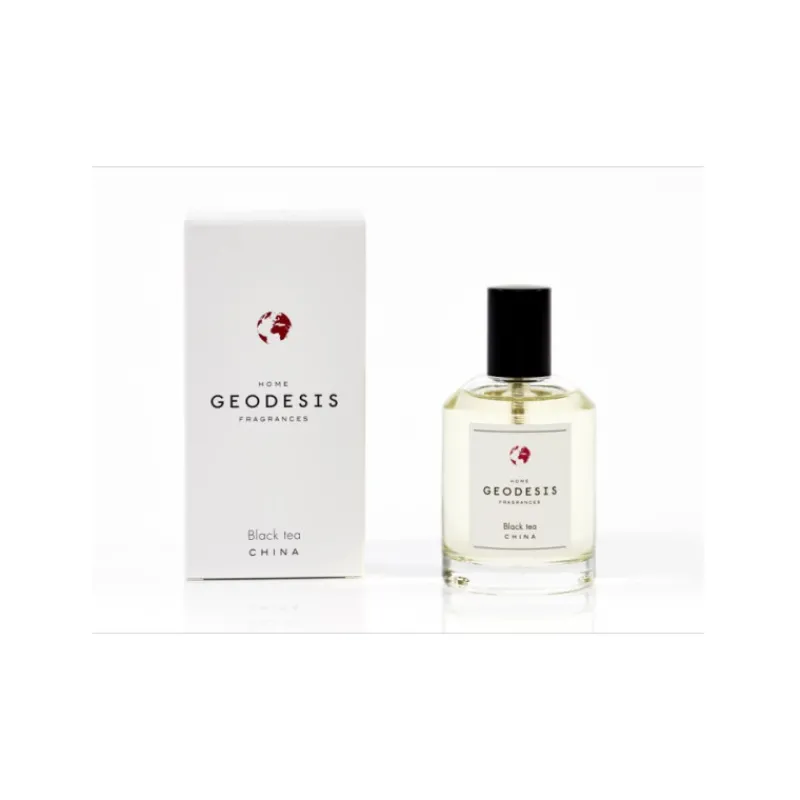 Diffuseurs De Parfum D'Intérieur<GEODESIS Vaporisateur de parfum Thé Noir,